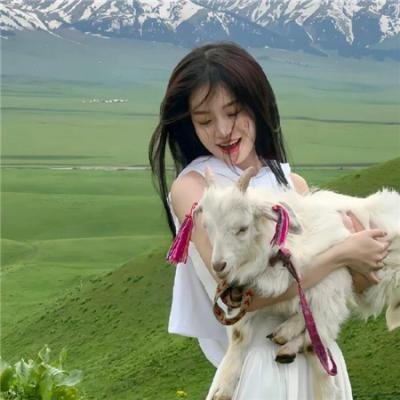 红蓝大作战第十七季